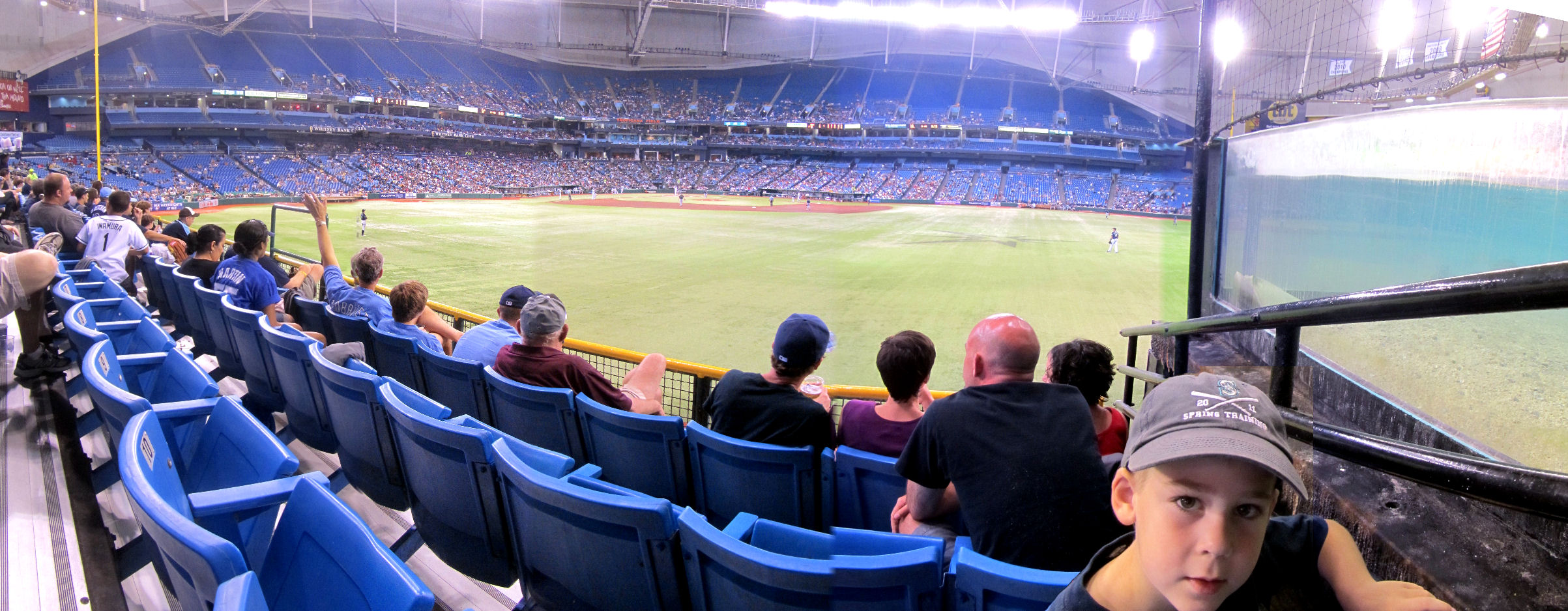 Cook & Son: Stadium Views: Tropicana Field