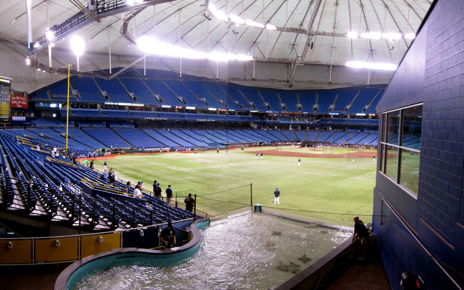Tropicana field rays tank hi-res stock photography and images - Alamy